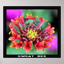 Abeja del sudor impresiones