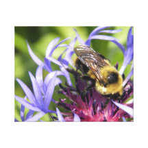 Abeja en cardo lienzo envuelto para galerías