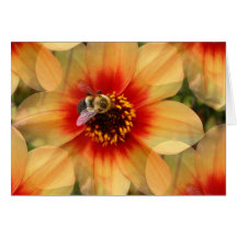 Abeja en dalia felicitación
