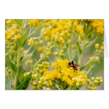 Abeja en el amarillo (tarjeta)