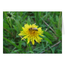 Abeja en el diente de león tarjeta