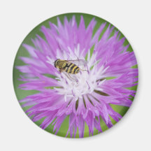 Abeja en el imán redondo de la flor