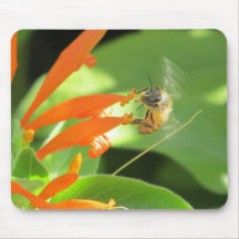 Abeja en la flor anaranjada Mousepad