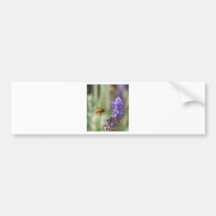 Abeja en la lavanda pegatina de parachoque
