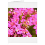Abeja en las flores rosadas tarjetas