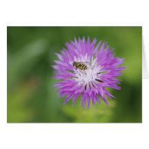 Abeja en tarjeta en blanco de la flor