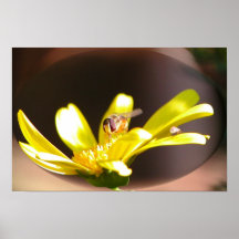 abeja en una burbuja impresiones