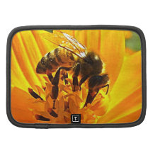 Abeja en una flor organizador