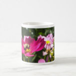 Abeja en una taza de Cosmo
