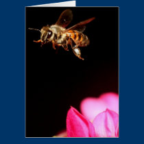 Abeja en vuelo tarjetas