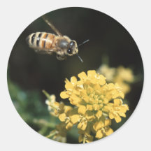 abeja etiquetas  