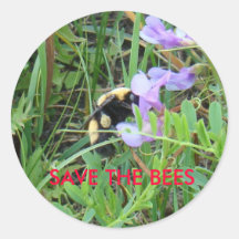 Abeja F0002 en Wildflower púrpura Pegatinas
