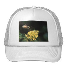 abeja gorras