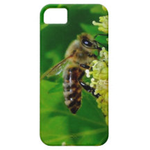 Abeja iPhone 5 Carcasas