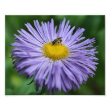 Abeja minúscula en la impresión púrpura de la natu fotografias