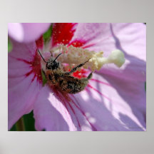 Abeja ocupada poster