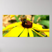 Abeja ocupada posters
