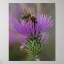 Abeja Posters