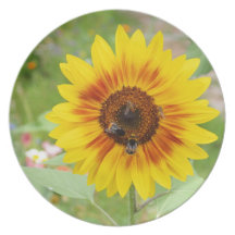 Abeja que trae el néctar de la flor del girasol plato