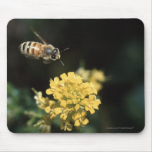 abeja tapete de ratones