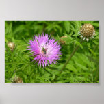 Abeja verde poster