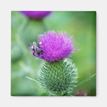 Abeja y cardo iman de nevera