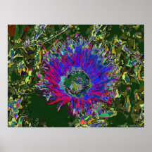 Abeja y flor en collage del ejemplo poster