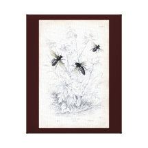 Abejas antiguas de la miel de la impresión de la h lona envuelta para galerías