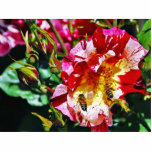 Abejas en el color de rosa esculturas fotográficas