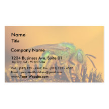 Abejas iridiscentes del sudor del verde plantillas de tarjetas personales