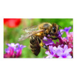 Abejas para la venta plantillas de tarjeta de negocio