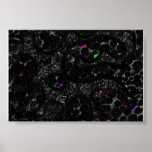 Aborigen fresco negro poster