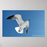 abra el vuelo poster