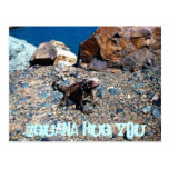 Abrazo de la iguana usted postales