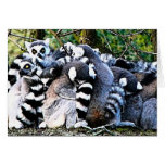 Abrazo del grupo felicitaciones