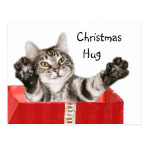 Abrazo del navidad del gatito postales