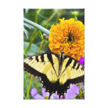 Abrigo de la lona del placer de la mariposa impresión en lienzo estirada