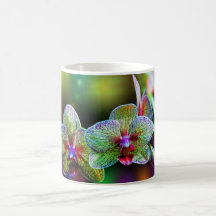 Abrigo de la taza - orquídeas extranjeras