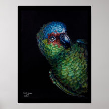 ¡Abucheo! Posters