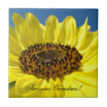 ¡Abuela impresionante! Girasoles de las tejas de l