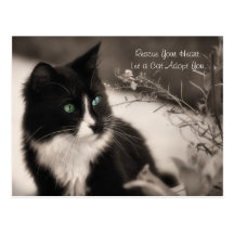 Acaricie el rescate de la adopción su corazón y ad postales