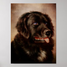 Accesorio canino posters