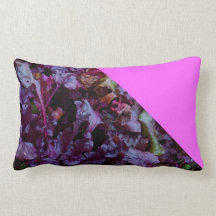 ACCESORIO RICO LUJOSO DE LA ALMOHADA COLORIDA DEL 