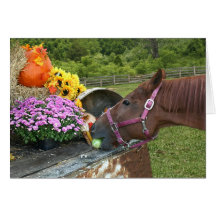 Acción de gracias del caballo tarjetón