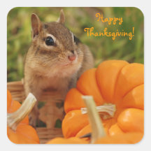 Acción de gracias feliz poco pegatina del Chipmunk