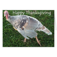 Acción de gracias feliz Turquía Tarjetón