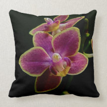 Accsents asiático almohadas