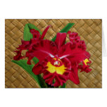 Aceite de la orquídea con las tarjetas de Lauhala