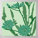 achicoria verde posters