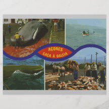 Acores Caca un Baleia, vintage Flyer Personalizado